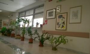 Oncologia Lanciano, interno